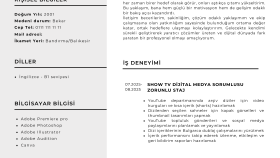 Cv Tasarımı