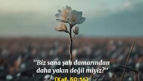 Reels Tasarımı