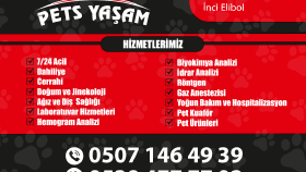Veteriner Kliniği Sosyal Medya Çalışması