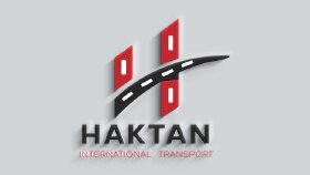 1 adet logo tasarımı