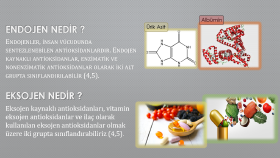 Antioksidanlar - Üniversite tezi için sunum 