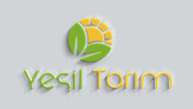 1 adet logo çalışması