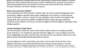 Tüp Bebek Tedavisi - SEO Blog