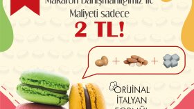 Artmac Macaron Broşür Tasarım