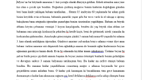 Metin Yazarlığı