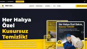 Güngören Halı Yıkama 