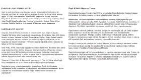 İzmir Karşıyaka ve Örgüt Kültürü ile İlgili Makale Yazımı
