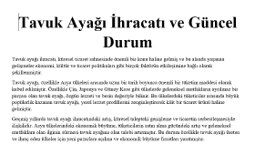 SEO Uyumlu Makale