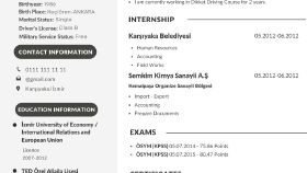 Cv tasarımı