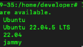 Ubuntu 22.04 Sunucu Kurulumu ve Güvenlik Yapılandırması