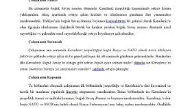 Tez Yazımı