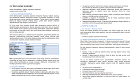 Profesyonel CV Analizi