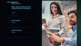 Website Çeviri
