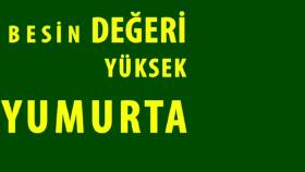 ADA BAHÇE TARIM ANİMASYON REKLAM 