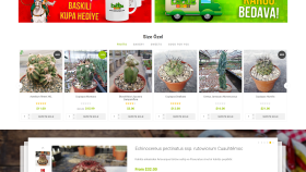 E-ticaret