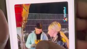 Reklam tanıtım videosu