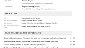 Almanya Odaklı Profesyonel CV 