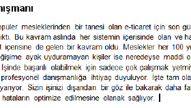 E-ticaret Danışmanı