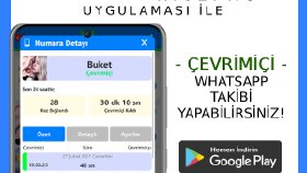 Mobil Uygulama İçin Reklam Banner Tasarımı