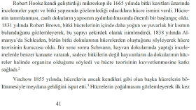 Makale Yazımı