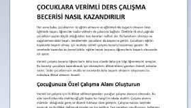 Örnek Çalışma