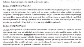 Estetik Üzerine Yazılar