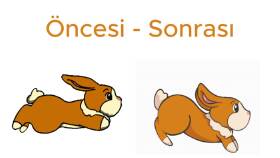 Tavşan Koşu Animasyonu
