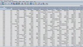 Spss Veri Girişi