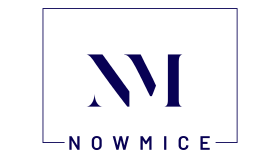 Nowmice Logo Tasarımı