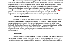 Çeviri