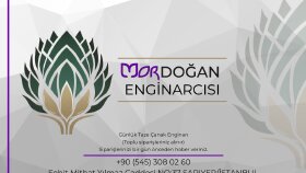 Marka Logo Tasarımı