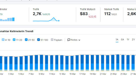 Bionluk İçin SEO çalışması
