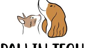 PAW IN TECH LOGO TASARIMI