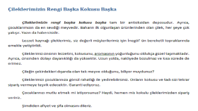 E-Ticaret İçin Ürün Tanıtımı