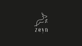 Zeyn - Logo Tasarımı