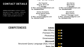 Cv