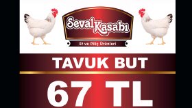 Broşür & Katalog Tasarımı