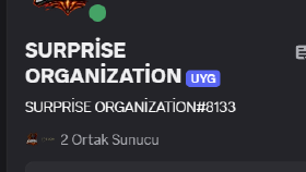 Turnuva Bot