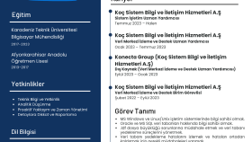 Örnek CV