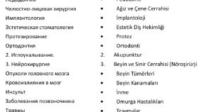 Çeviri  Türkçe'den Rusça'ya 