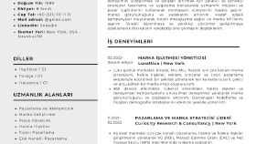 Cv Tasarımı