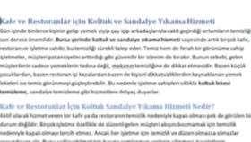 Metin Yazarlığı