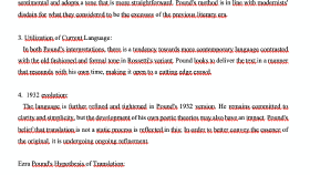 Essay