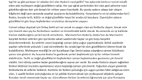 Seo uyumlu web sitesi yazıları