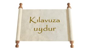 Enstitü kılavuzuna göre çalışma düzenleme