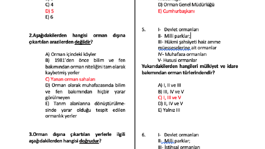 kplnzeynep portfolyosu 1