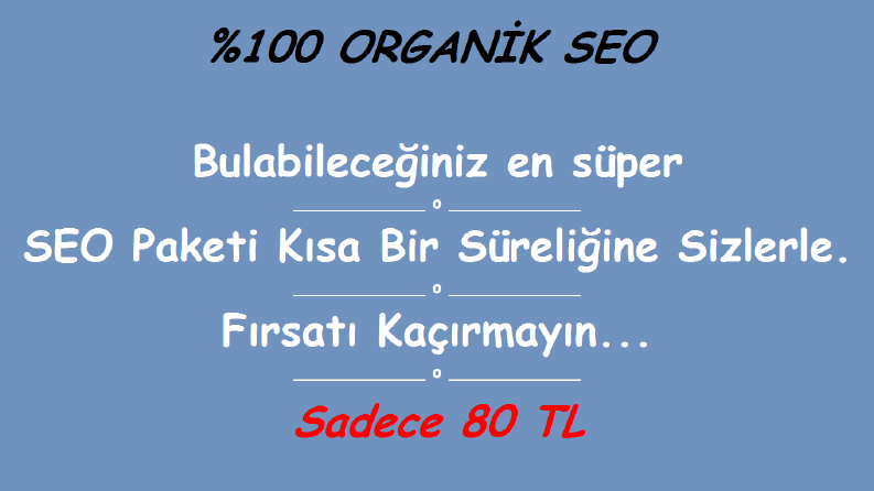 Arama Motoru Optimizasyonu (SEO)
