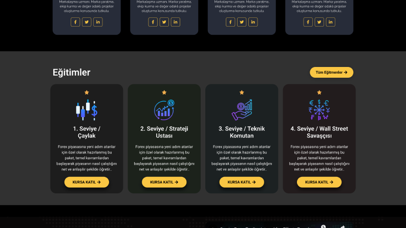 Sade**.com Elementor Çalışması