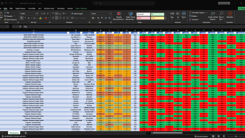 Excel Veri Analizi ve Otomatik Hesaplama
