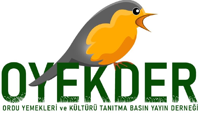 OYEKDER Logo Çalışması
